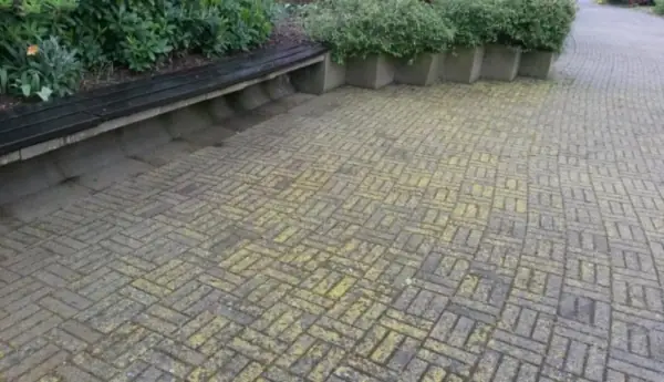 Roter Verbundpflaster-Sitzplatz mit Bank, starker gelblich-grüner Belag zwischen den Steinen