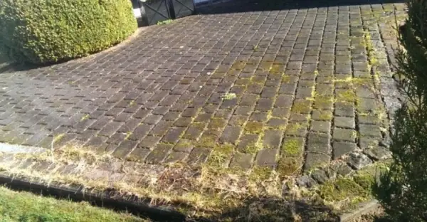 Betonpflaster-Randfläche mit hellem Kopfsteinrand, stark mit Moos und Gras bewachsen