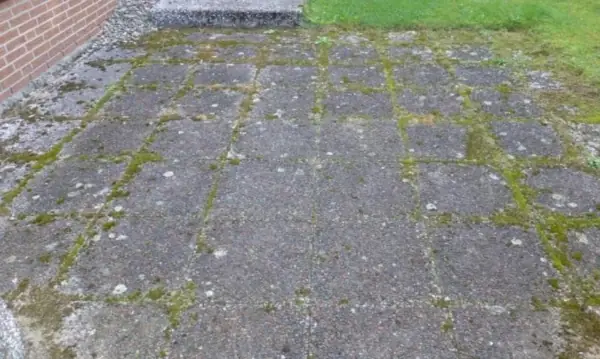 Terrasse aus hellem Waschbeton, grau verschmutzt mit Grünbelag