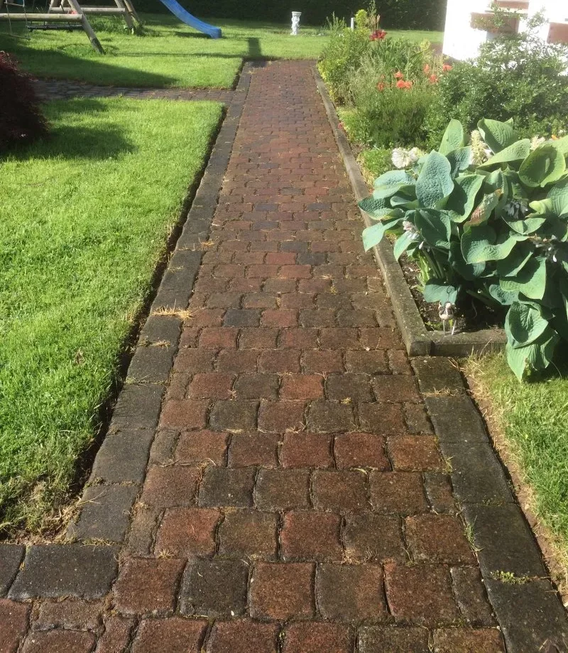 Rosafarbener Verbundpflasterweg im Garten, dunkel verwittert mit Unkraut in den Fugen