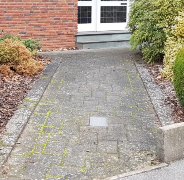 Musterprobe auf einer Pflasterfläche, behandelter Bereich neben unbehandeltem