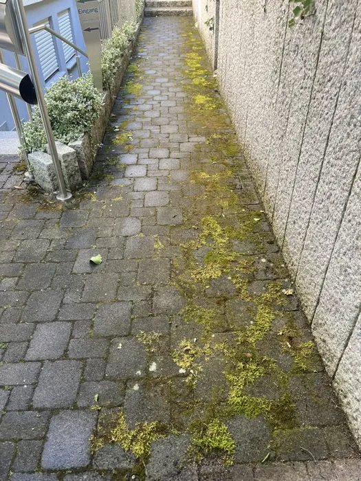 Weg in Gottmadingen vor der Reinigung