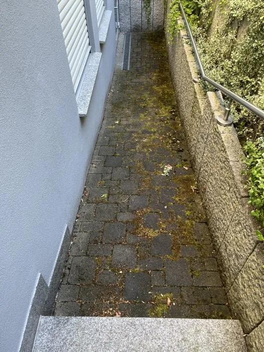 Weg zu Einliegerwohnung in Gottmadingen vor der Reinigung
